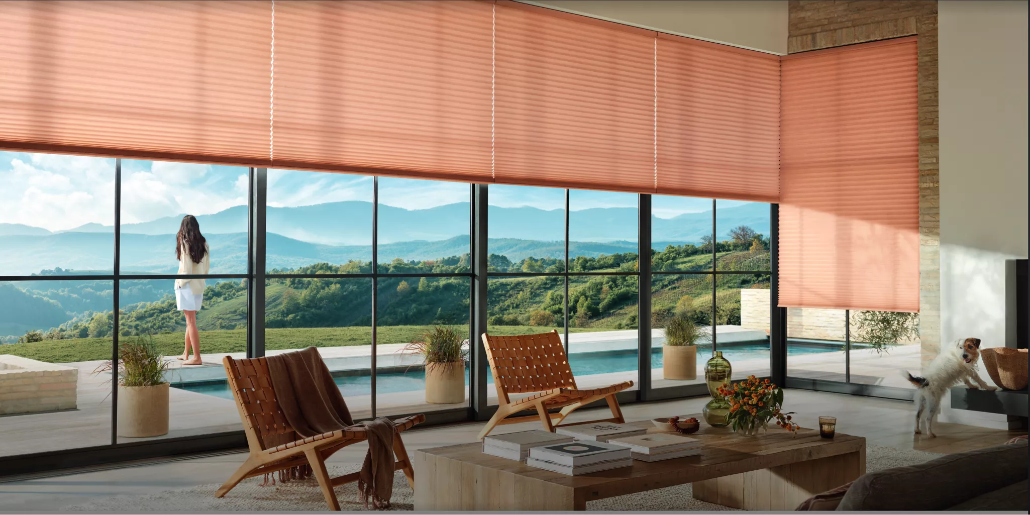 duette window shades in living room