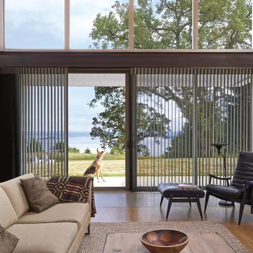 Luminette window blinds