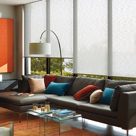Roller window blinds