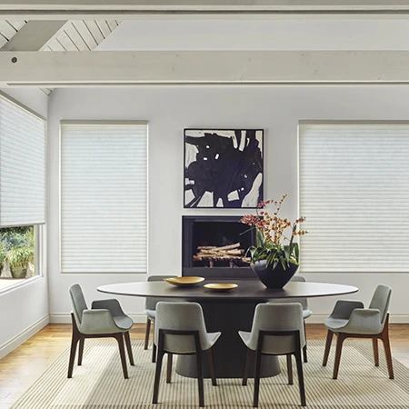 Sonnette window shades